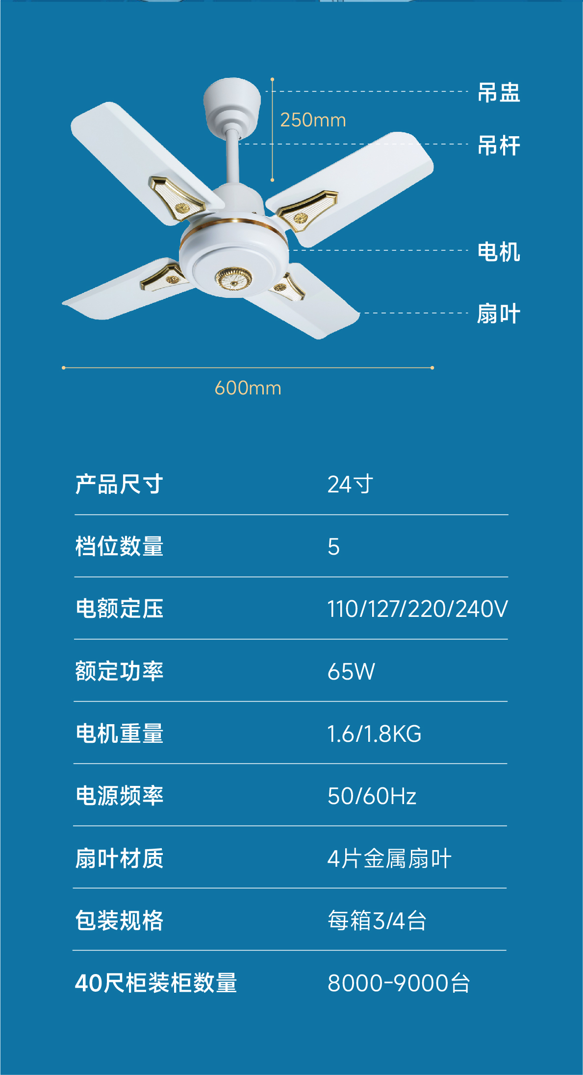 规格 24白.jpg